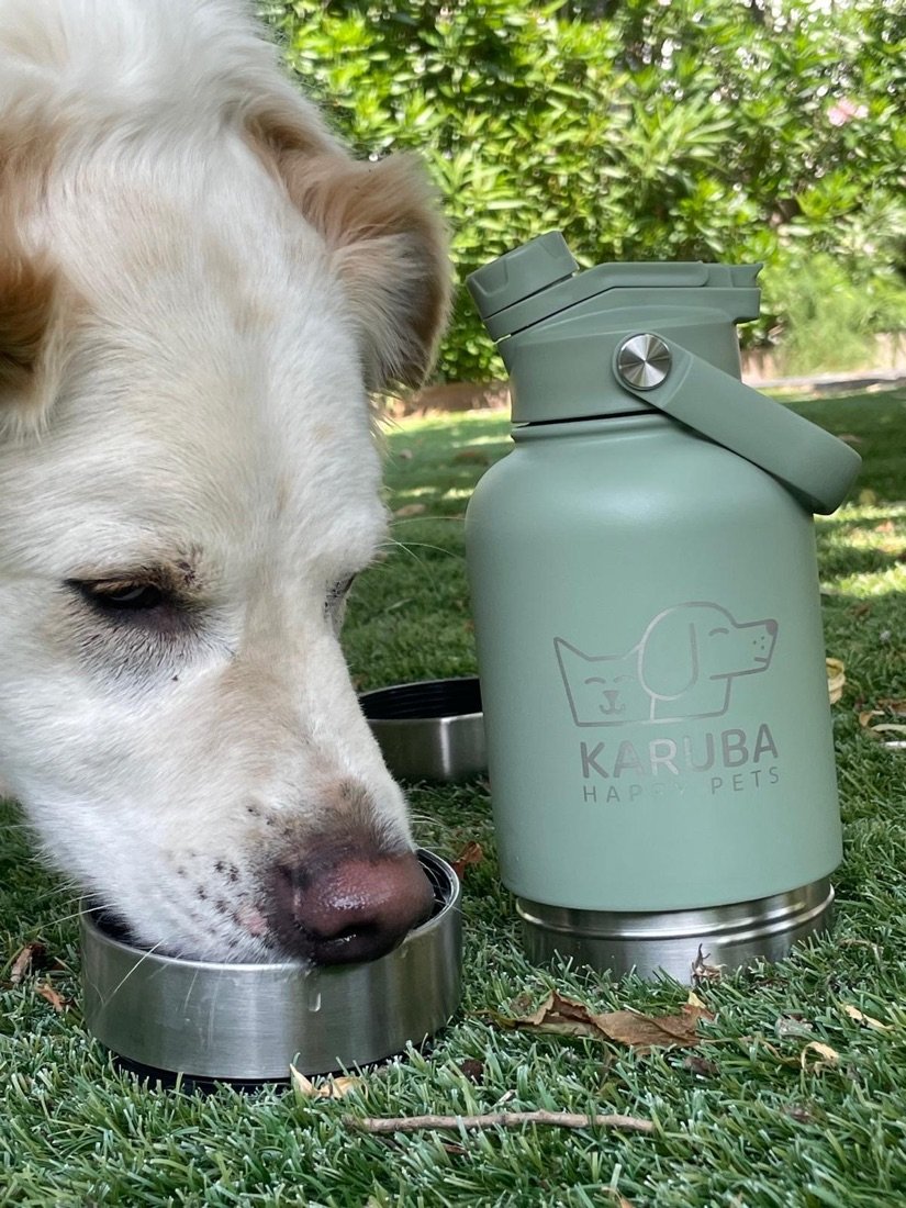 Perro bebiendo del plato de acero junto a la botella